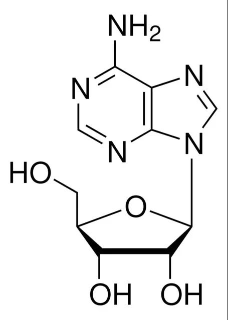 Adenosin.jpg