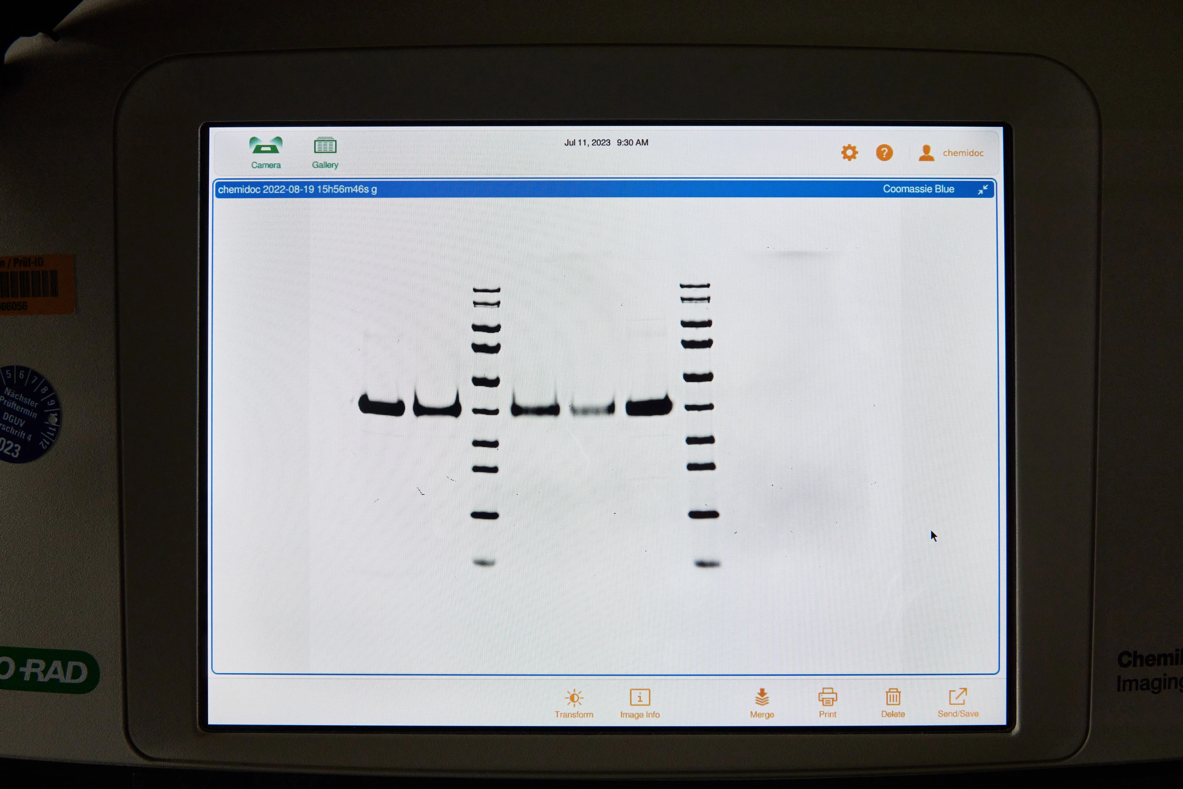 Auswertung Dünnschicht Chromatographie